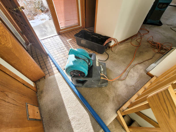 Best Flood damage cleanup  in Clarkston Heights Vineland, WA