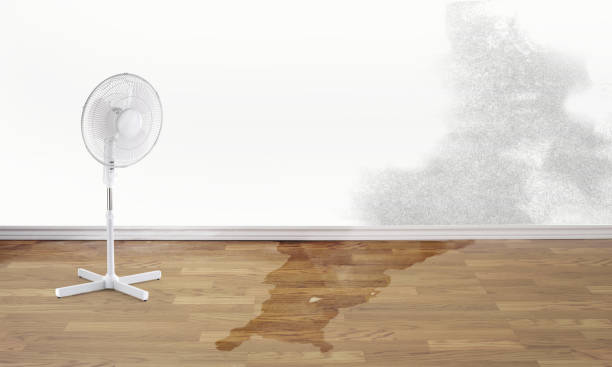 Best 24/7 water damage repair  in Clarkston Heights Vineland, WA