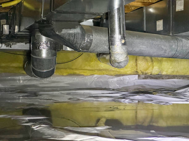 Best Water damage restoration mold remediation  in Clarkston Heights Vineland, WA