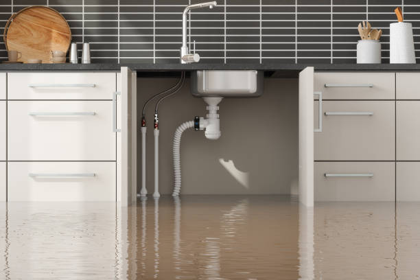 Best Water damage restoration specialists  in Clarkston Heights Vineland, WA