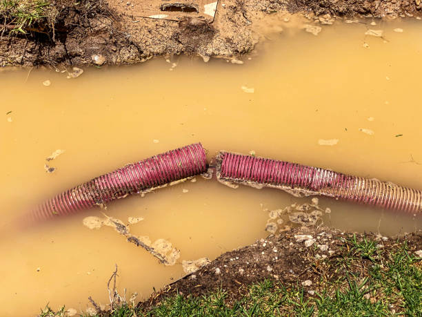Best Flood restoration services  in Clarkston Heights Vineland, WA
