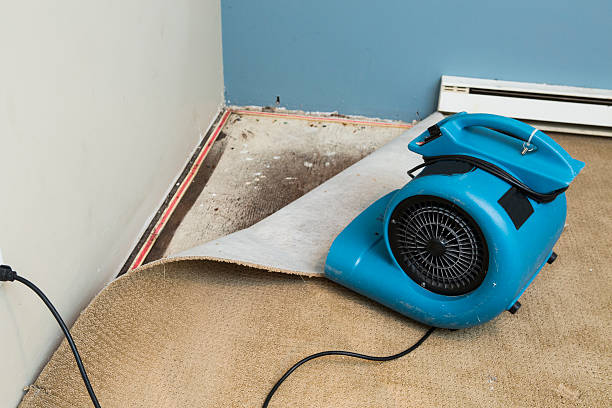 Best Water damage contractors near me  in Clarkston Heights Vineland, WA